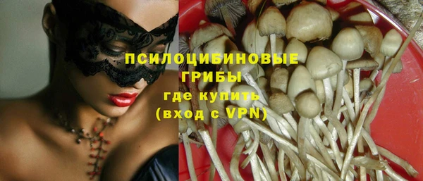 скорость Чегем