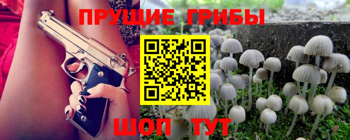 Осинники  Галлюциногенные грибы Magic Shrooms  Вход с VPN 