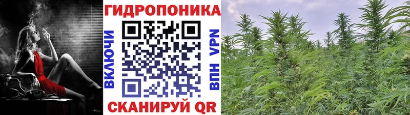 нарко площадка официальный сайт  Осинники  Бошки марихуана THC 21% 